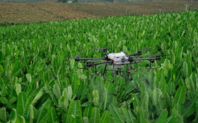 Agricultura de precisão com drones. Quais são as suas vantagens e aplicações?