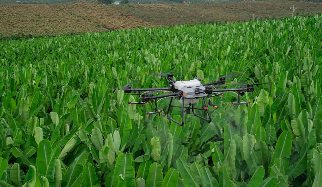 Vehículos aéreo no tripulado sobrevolando una zona de cultivos para la agricultura de precisión con drones