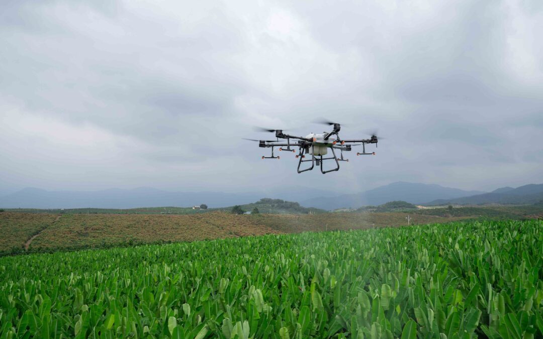 Drones en agricultura, ¿cuáles son los mejores y cómo usarlos?