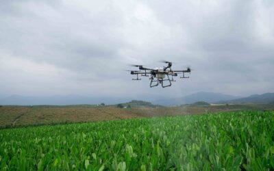 Drones in agriculture – Which are the best and how to use them?