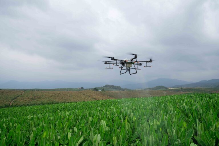 Drones en agricultura, ¿cuáles son los mejores y cómo usarlos?