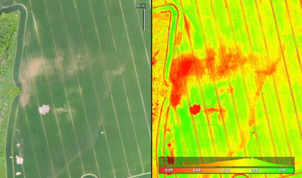 ¿Cómo medir los indices de vegetación con drones?