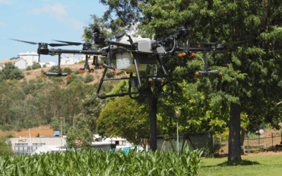 The drone revolution in precision agriculture